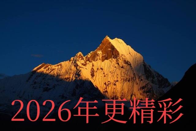 本轮行情上证指数涨了50%、创业板科创板指数上涨100%、主板蓝筹表现突出_