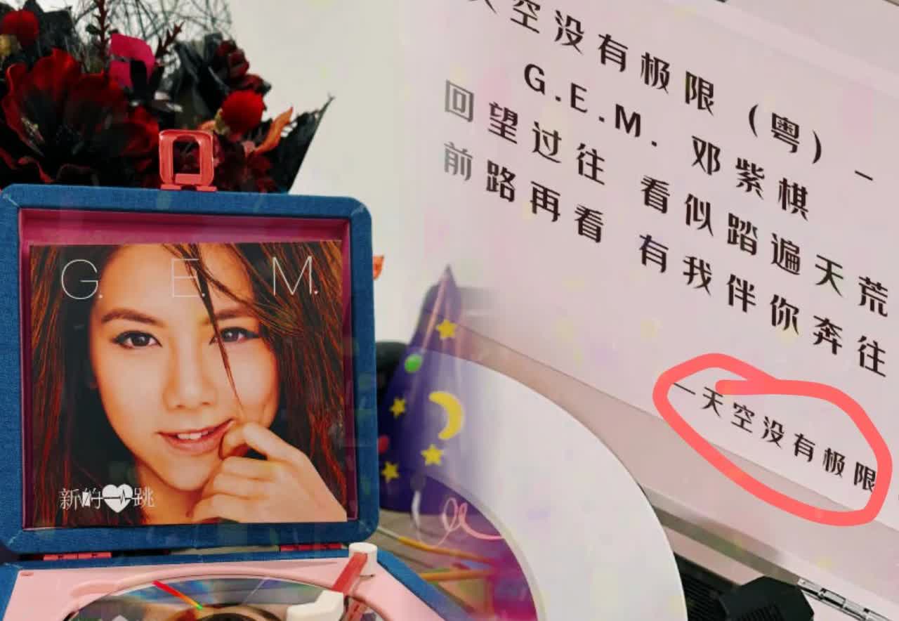 刚刚查了一下邓紫棋不查不知道，一查令人心疼唱遍大街小巷的邓紫棋，竟然有六