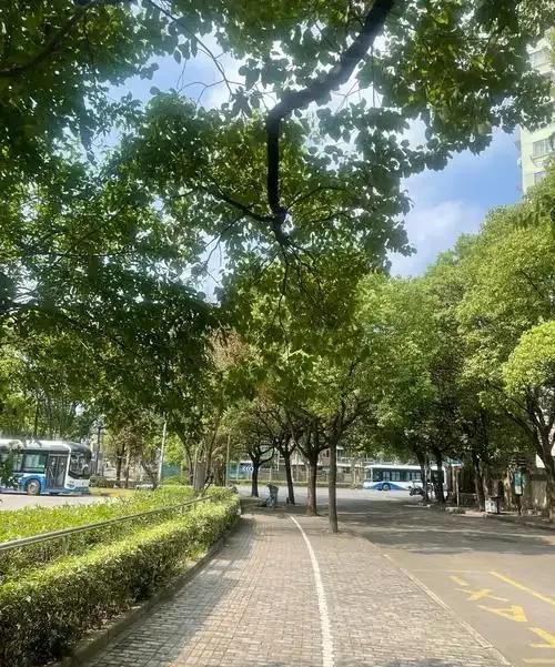 我妈60岁了，退休以后平时出去旅游从来不跟团，也不坐高铁火车，也不和家人朋友一起