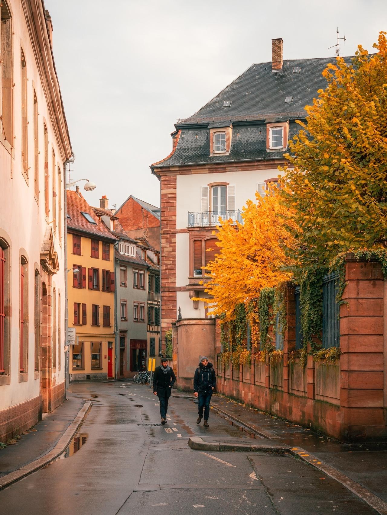 🍂Kosnio时光琥珀｜斯特拉斯堡的秋日凝滞诗