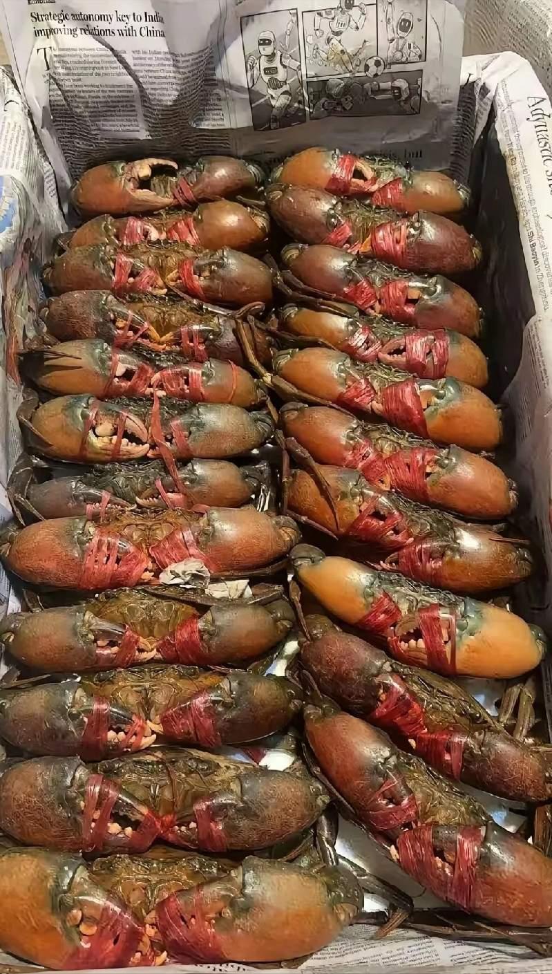 农村的，这个是什么菜还是？