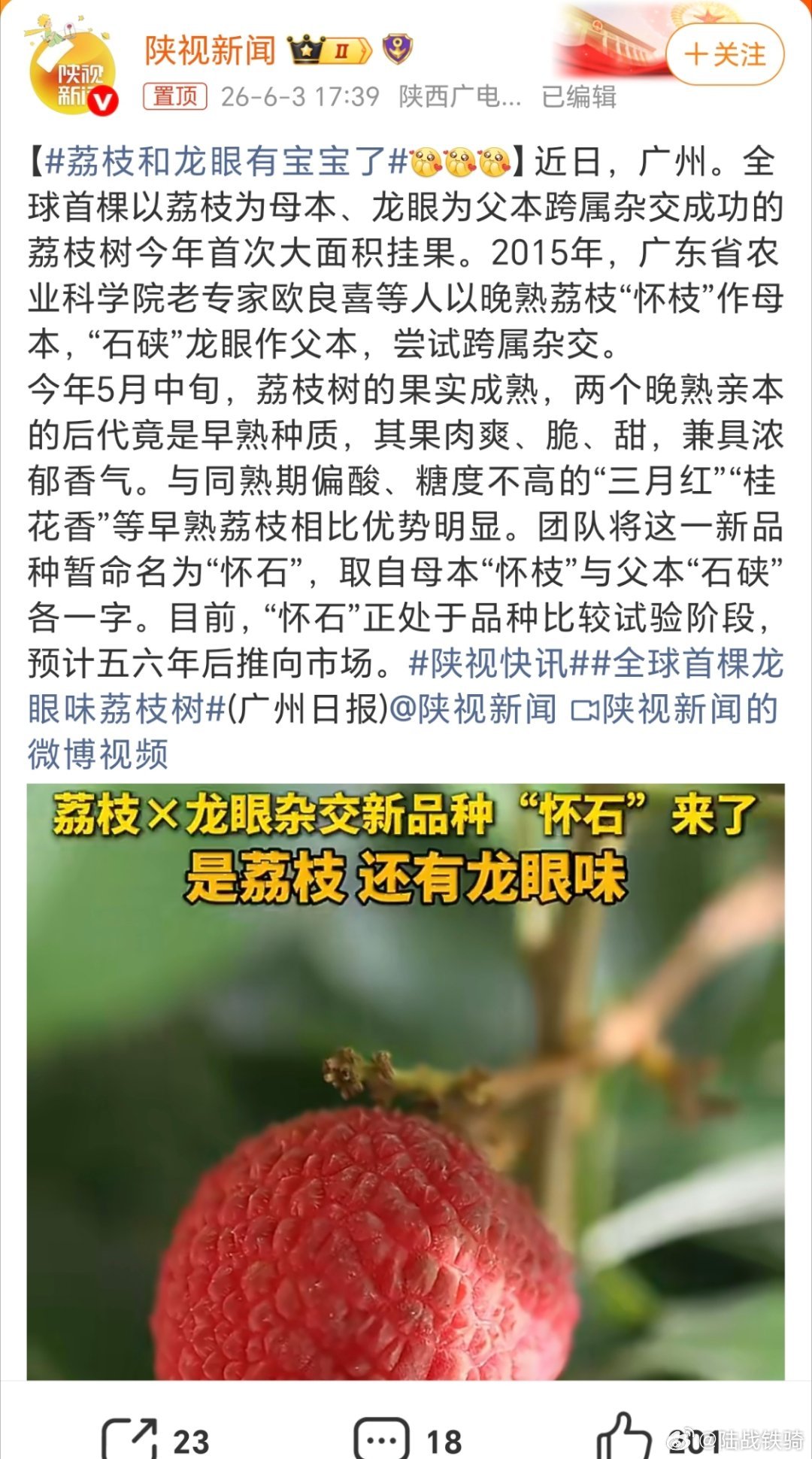 荔枝和龙眼有宝宝了，这两种水果都很好吃，它们的宝宝应该叫“龙荔”，看着就好吃