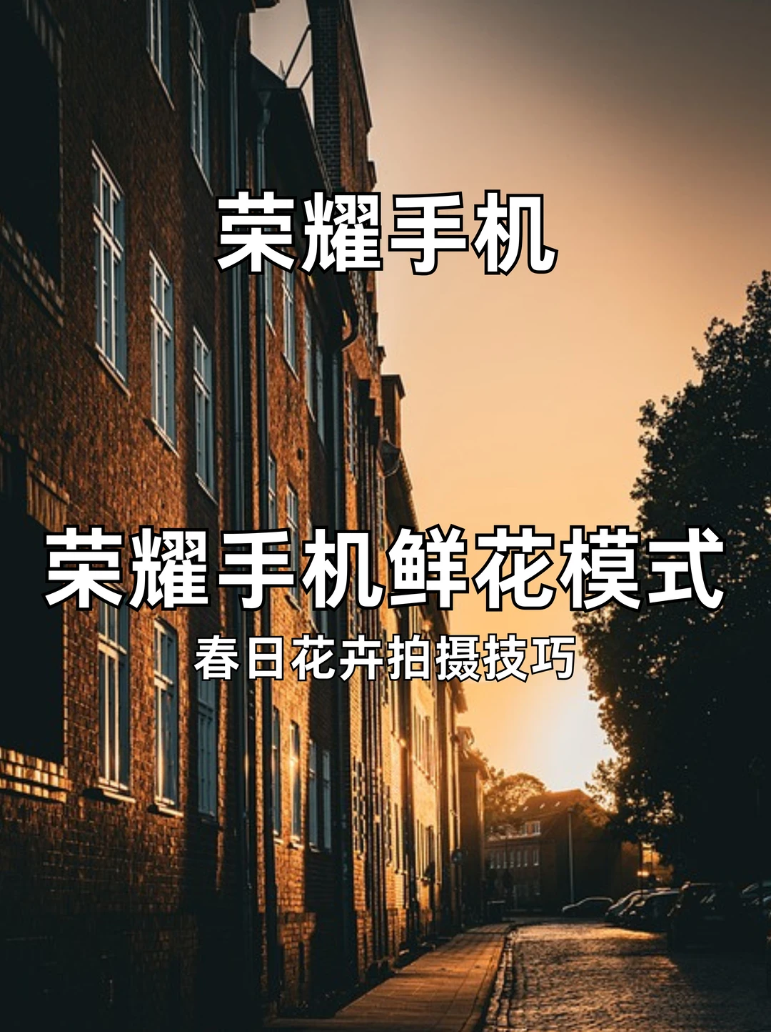 荣耀手机鲜花模式❤️春天拍花效果绝了