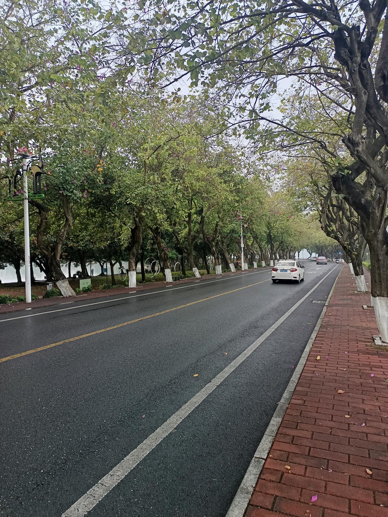 说真的肇庆还是放弃5A级风景区这个名头吧虽然环境优美，风景秀丽，却没有什么人