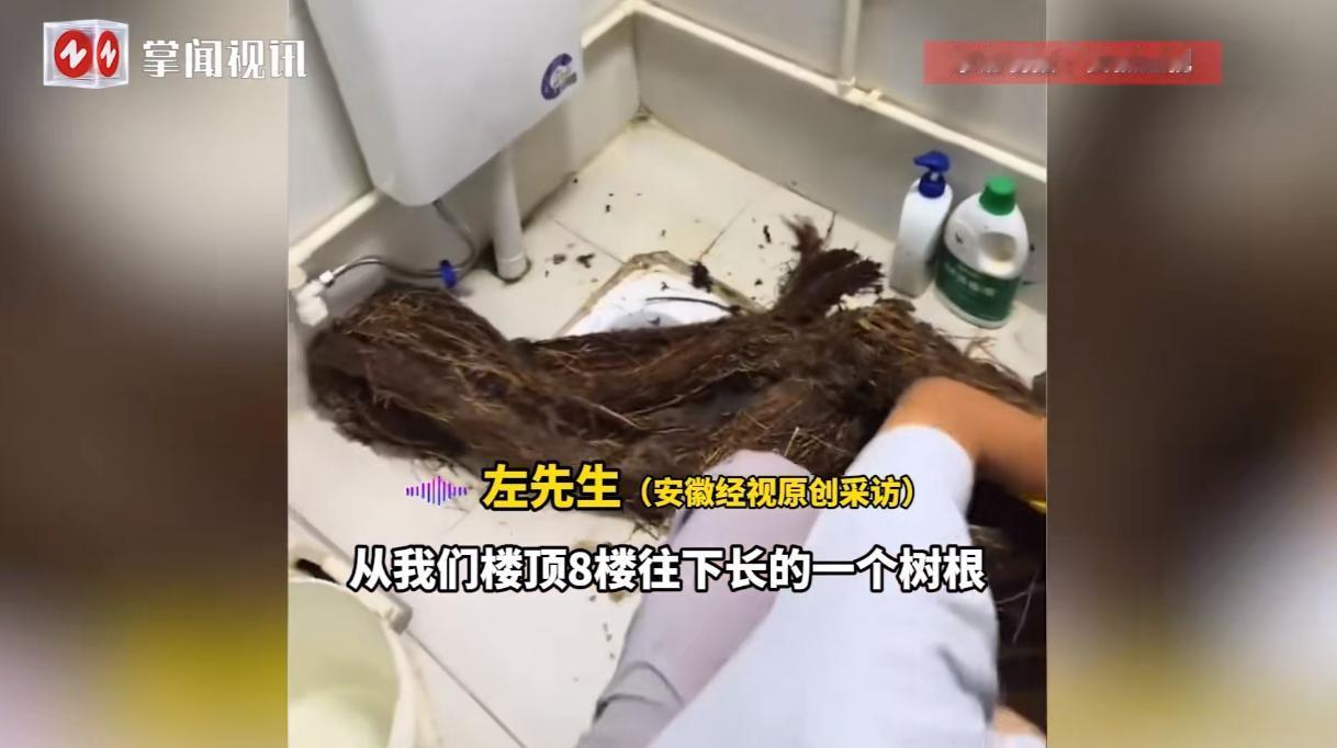 “长这么大第一次见！”10月18日，广东深圳，一租户在2楼居住突然发现下水道被堵