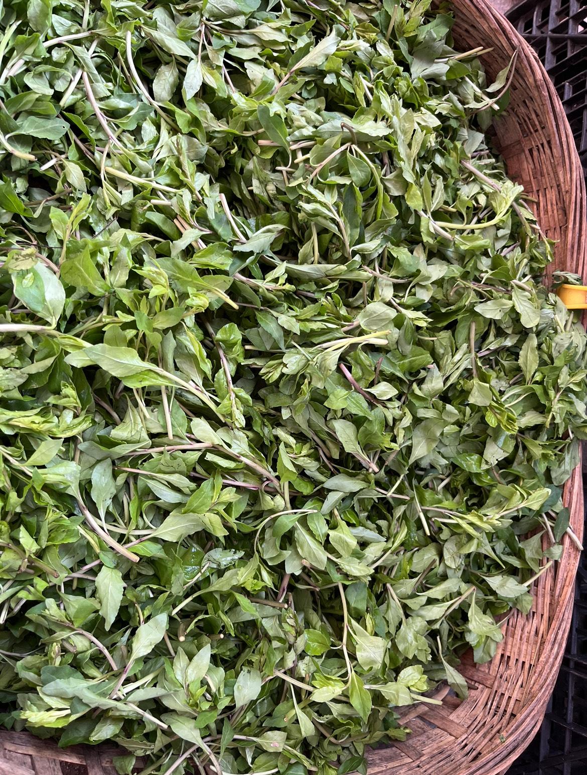 快来！咱们把春天吃到肚子里，就怕你认不到哦！成都春日的野菜鲜嫩美味，带着原野