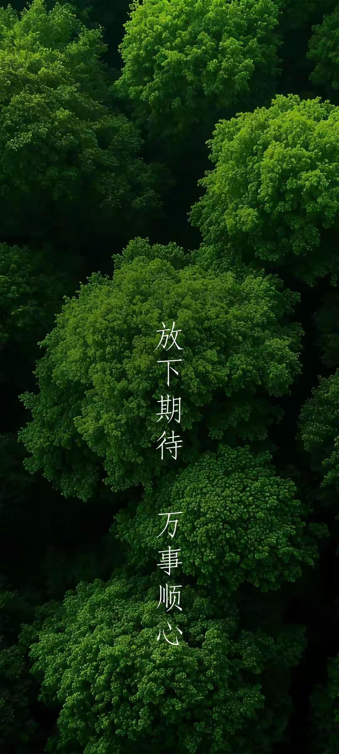 手机壁纸～把期待轻轻放下，让日子顺风顺水。看山林漫过绿意，听海风载着自由，不必追