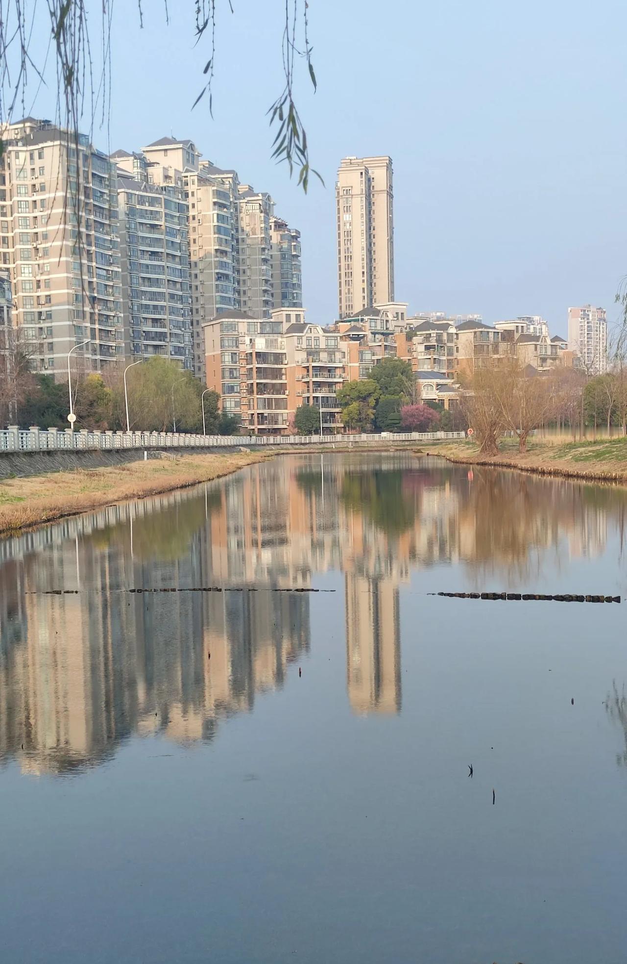 夕阳西下看沙湖。