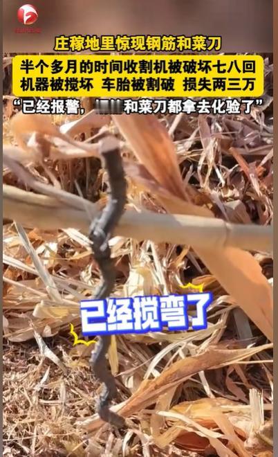 “这是动了谁的蛋糕?”吉林,男子开着收割机收割玉米,突然车底下传来一阵异响,他一