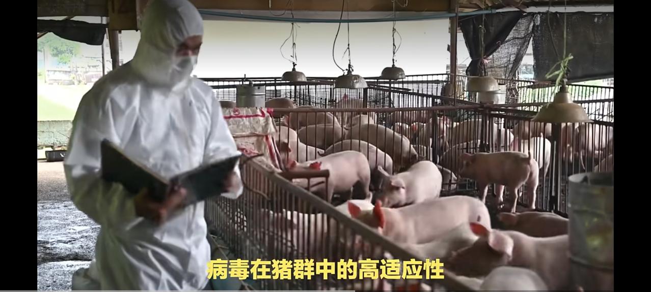 致死率高达75%！印度爆发致命疫情，中国早已筑牢防护墙家人们，国际上这波疫