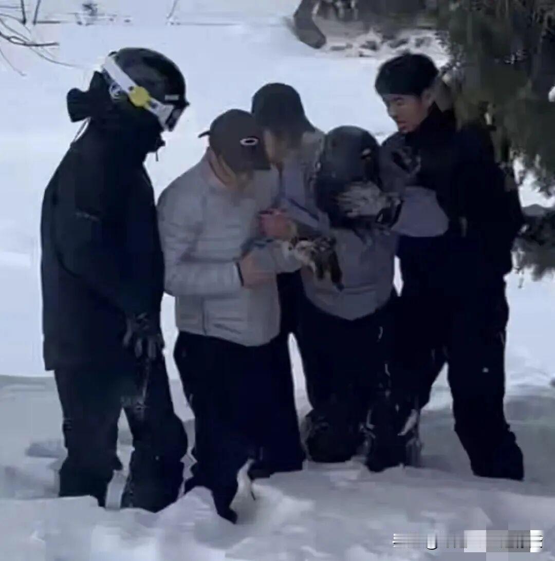 1月23日，新疆阿勒泰可可托海发生雪豹伤人事件，一只雪豹把女子扑倒在地，当人们发