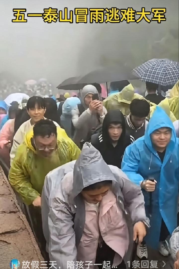 冒雨爬泰山，雨雾漫山，石阶湿滑，人挤人挪不开脚，裹着雨衣淋得透心凉，遭这份罪何苦