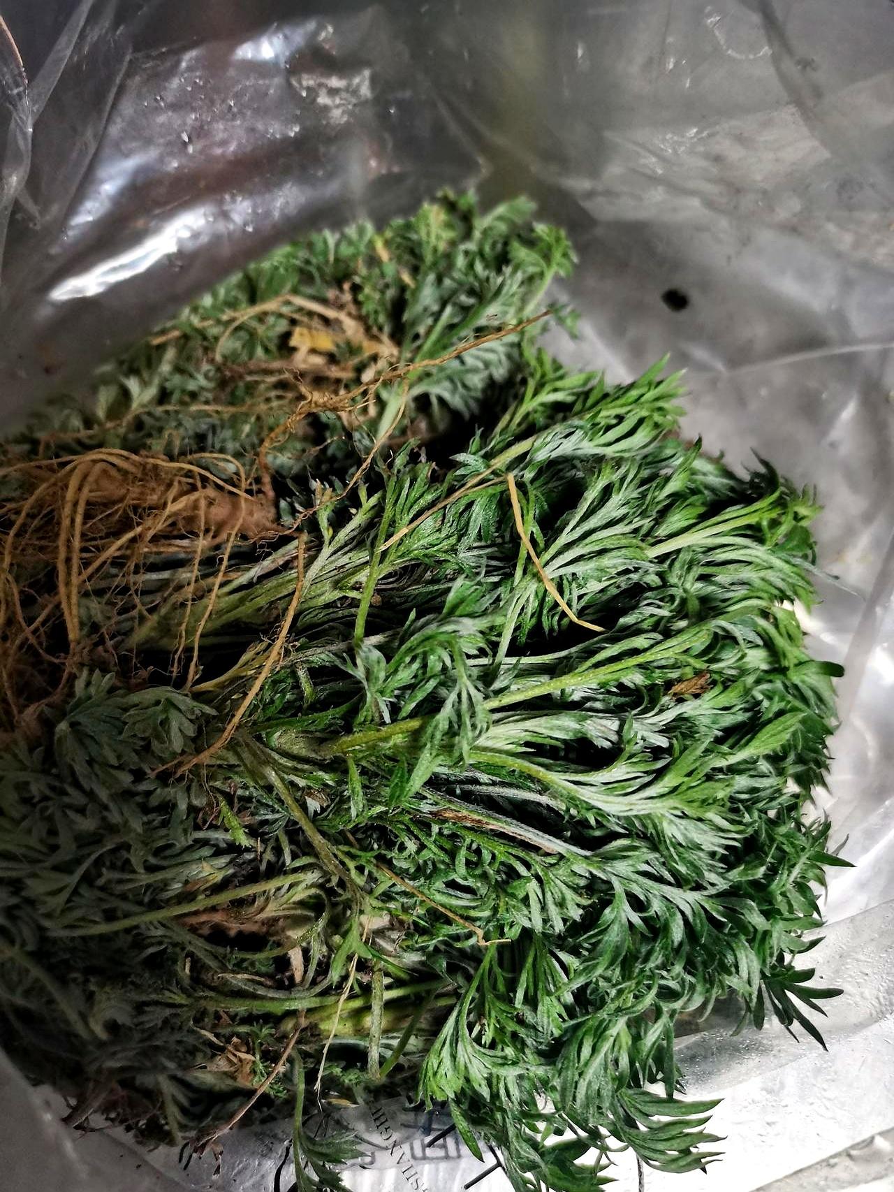 体检单上“低密度脂蛋白”超标吓一跳？说白了就是坏胆固醇，咱得赶紧管住它！别以