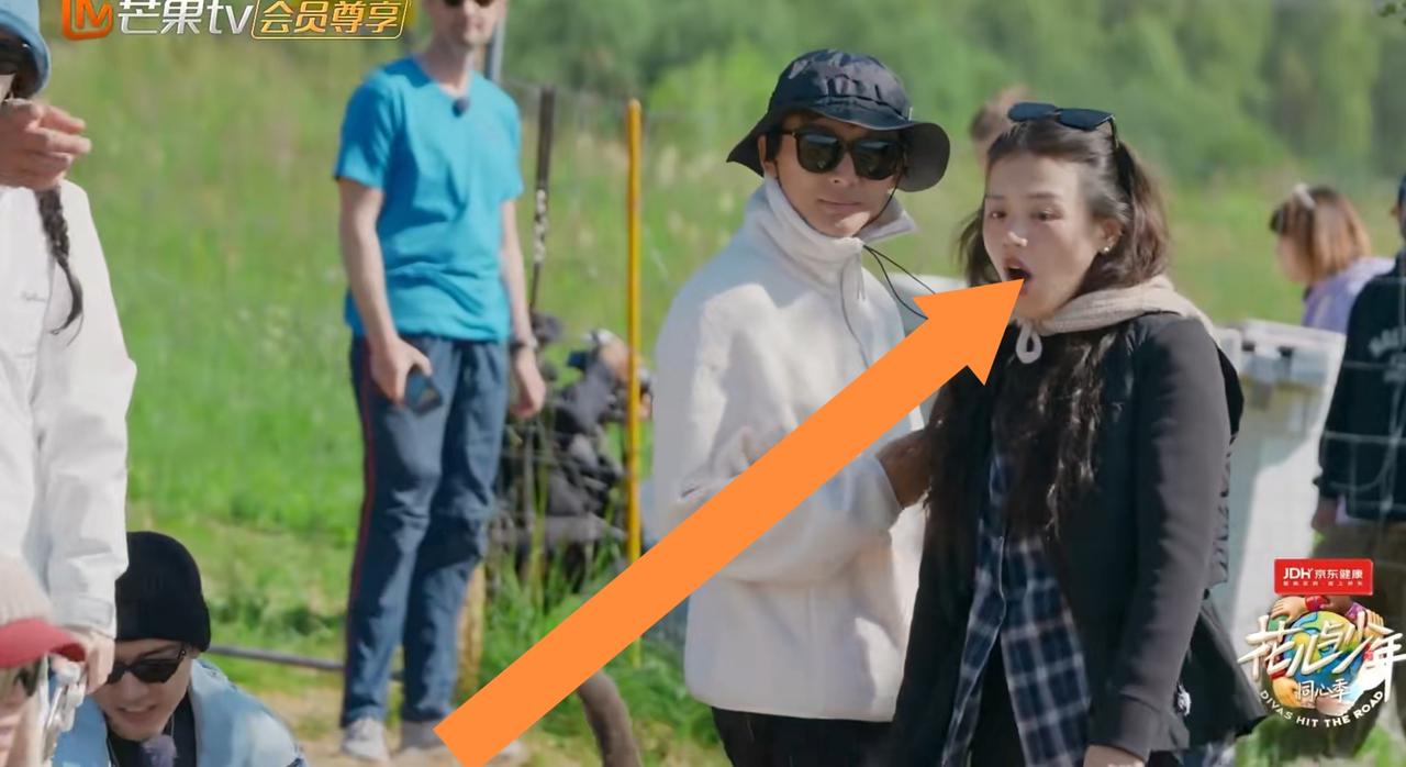 张晚意这样说，马思纯一脸不可置信，一问当地人才知道原来是这样一回事。花