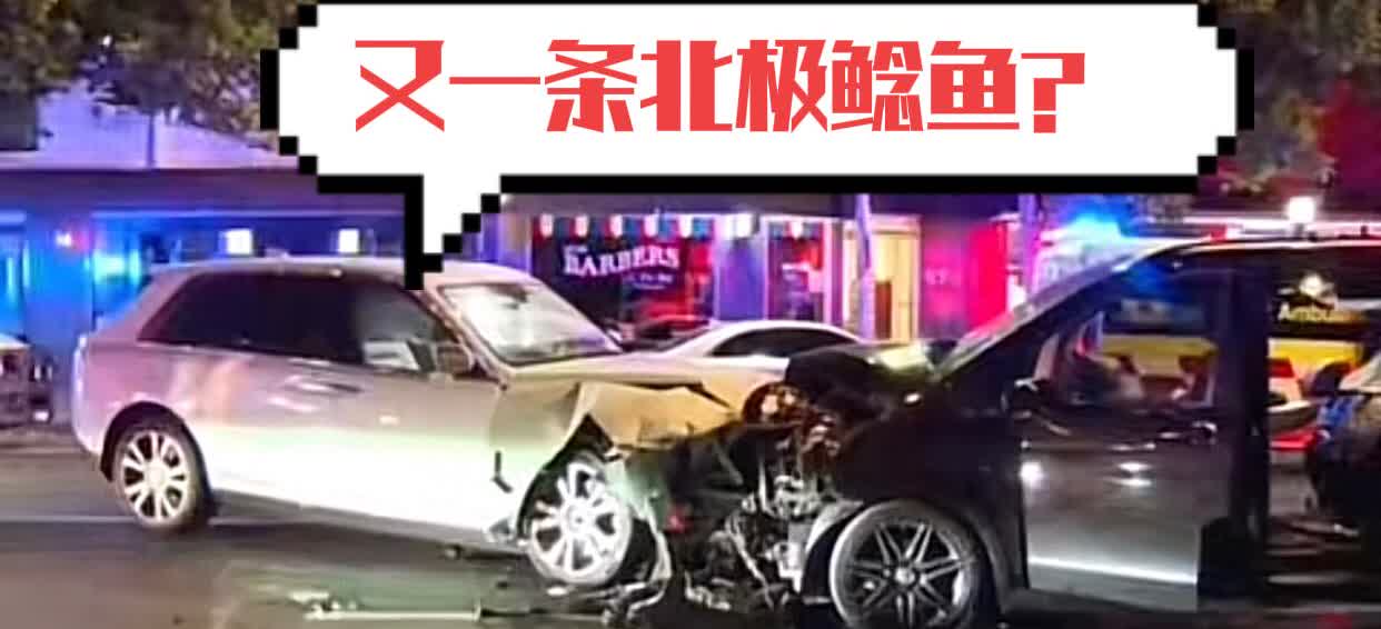 澳大利亚华人豪车车祸又撞出一条北极鲶鱼？她爹到底是谁呢?佣人说：主人家里