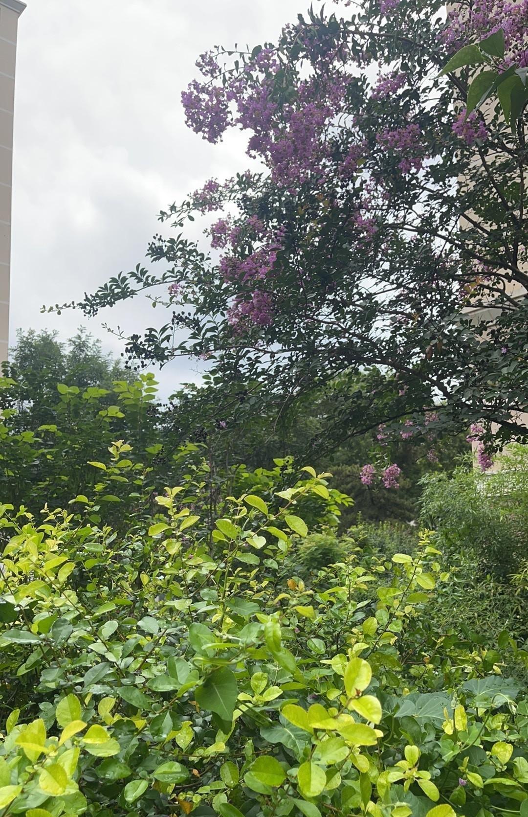 郭德纲，亲手拆了自己的祠堂。张云雷的工作室悄悄换了牌匾。孟鹤堂的影视约再没经