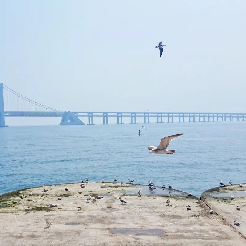 现在最后悔就是那个乘务长了吧！有知情人爆料说她跟大律师是初恋，两人在一起十年