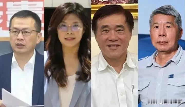 对于国民党主席选举，老领导的一句话，让我醍醐灌顶！最近在台湾最热门的话题