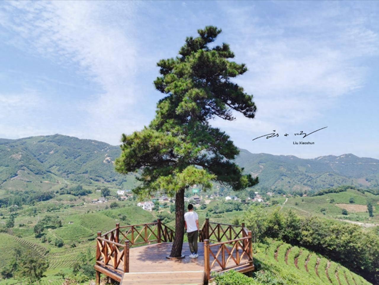 信阳是河南省唯一位于秦岭-淮河以南的地级市，属于“南方城市”，以米饭为主食且冬天