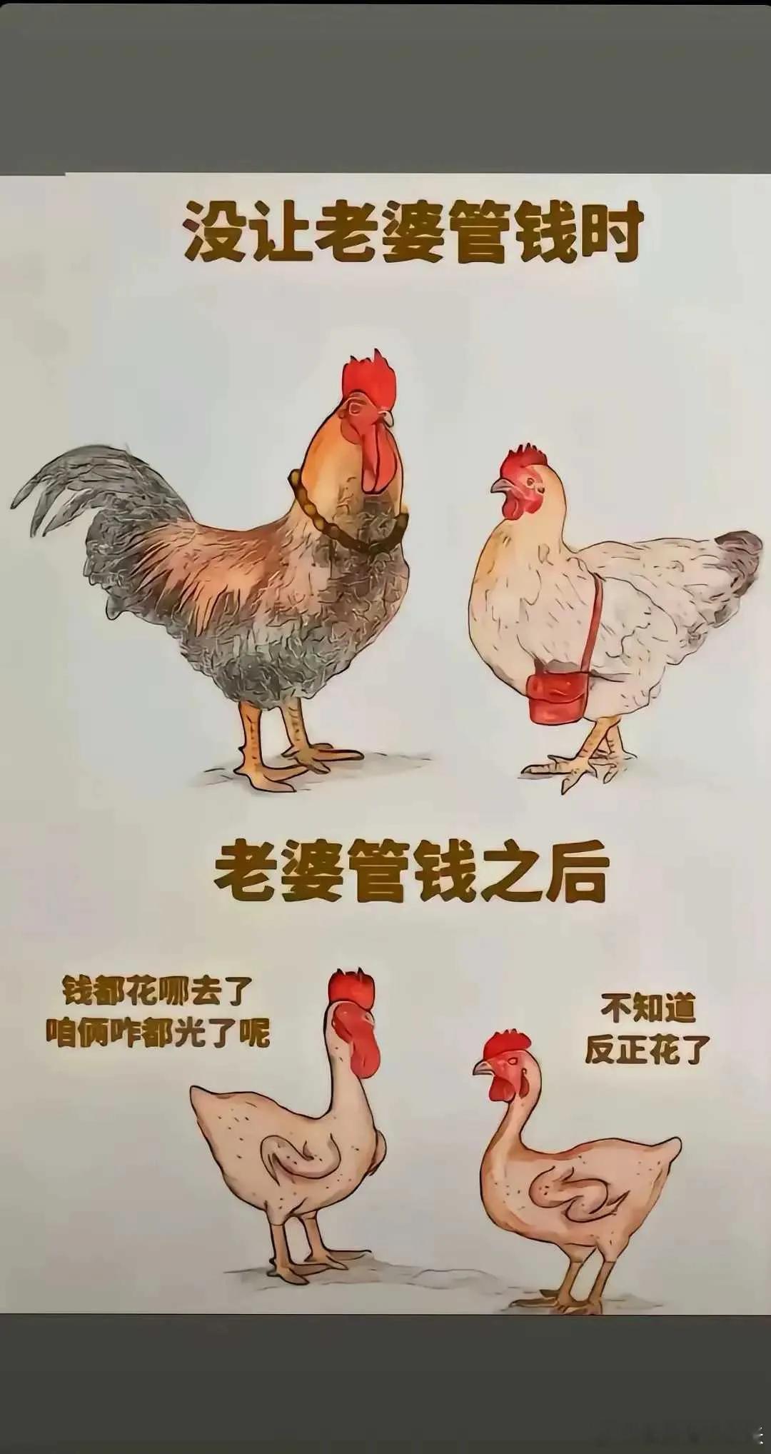 男女管钱的区别