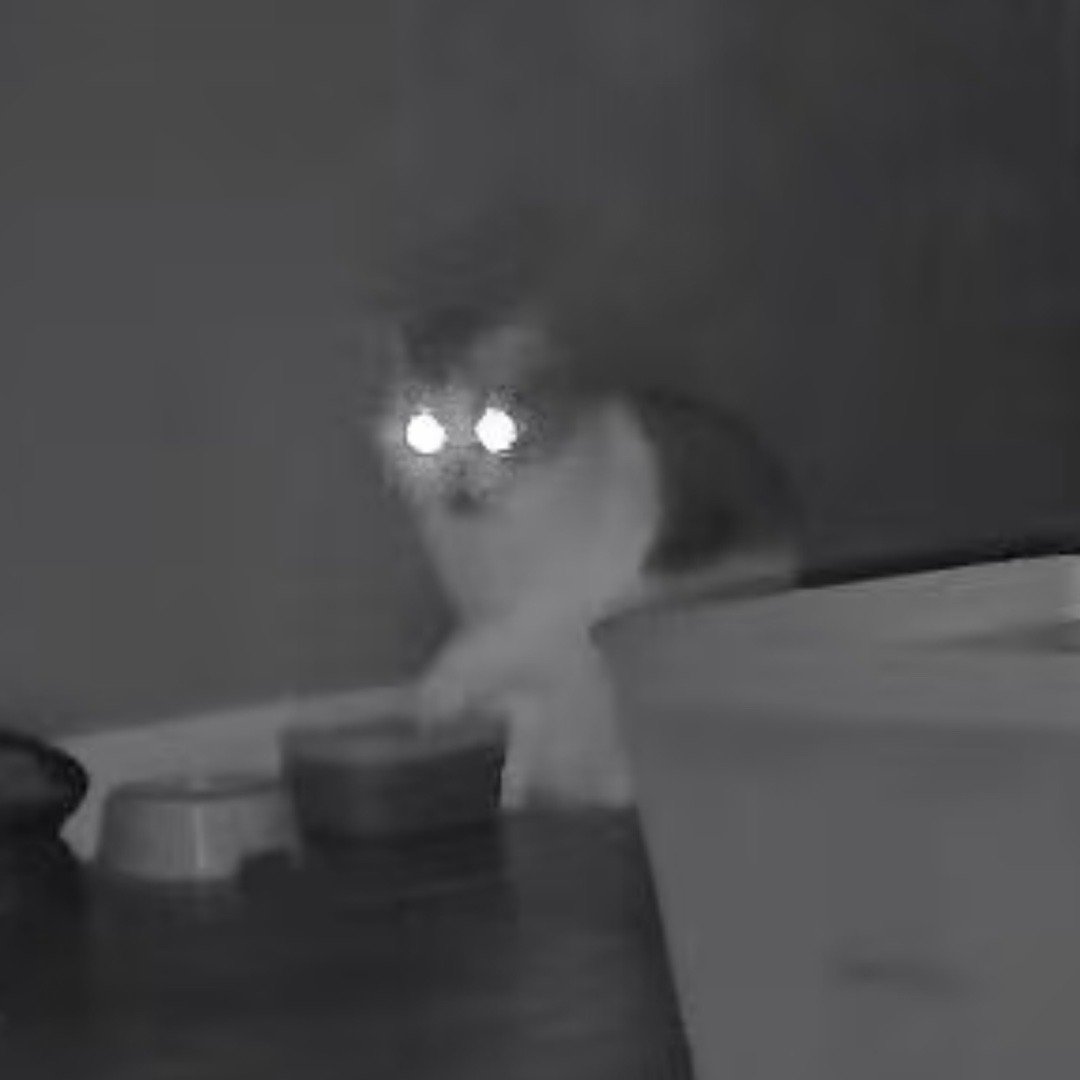 在监控看着汎小咪发出了这样的心声