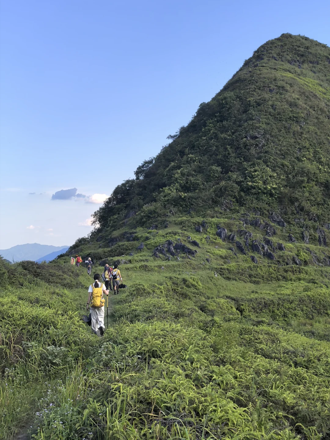 2026.7.11 梅子坪穿江英古道35°C暴晒生死局