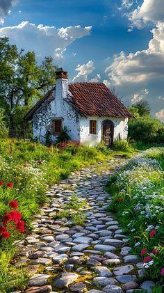 杨绛先生说：“人这一辈子，有人羡慕你，有人讨厌你，有人嫉妒你，有人看不起你，有人