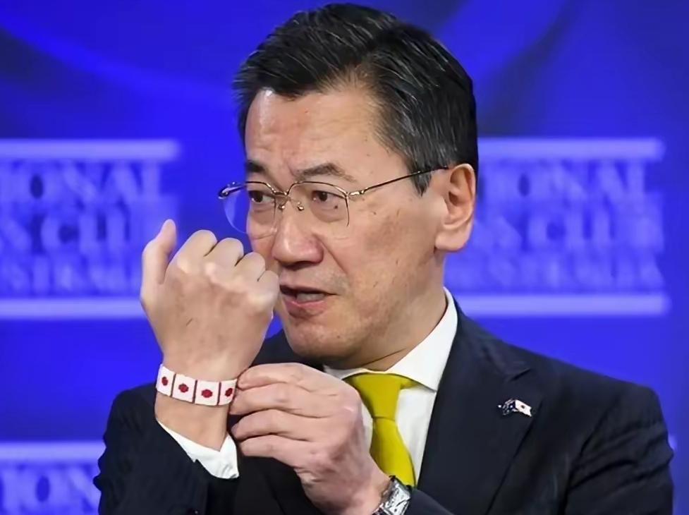 跪着的人永远看不惯站起来的人！日本驻澳大使居然说"中国没资格当大国"，这话听着