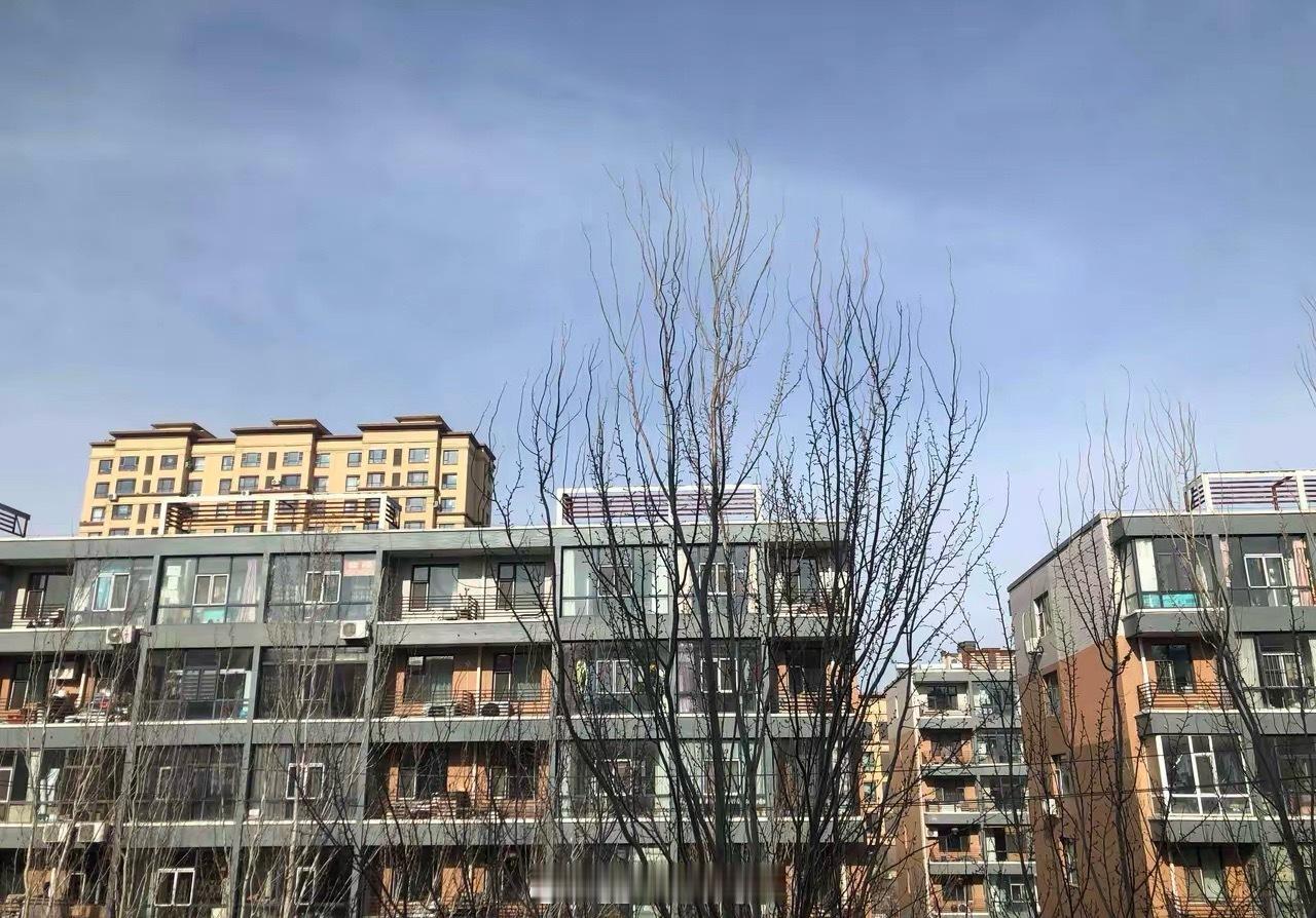 人老了，最好的养老方式就是自己一个人住。无论有婚姻，还是没有伴侣，到最后都是自己