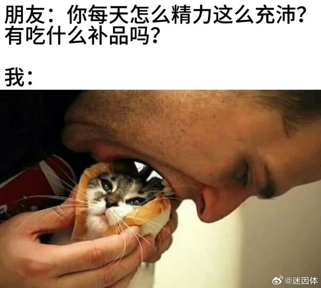 😋memes迷译图
