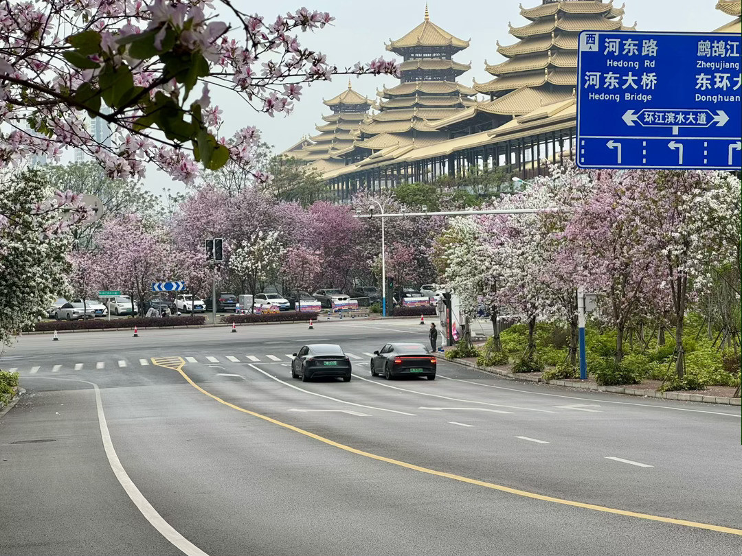 春天真的是一个到处都很美的季节