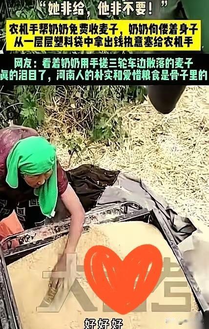 河南七旬驼背老人拦停收割机，一卷皱巴巴零钱，看哭无数种地人河南，一辆收割机