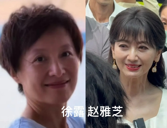 看了72岁赵雅芝和50岁可云饰演者徐露的生图近照的照片，我默默做了一个决定！不是