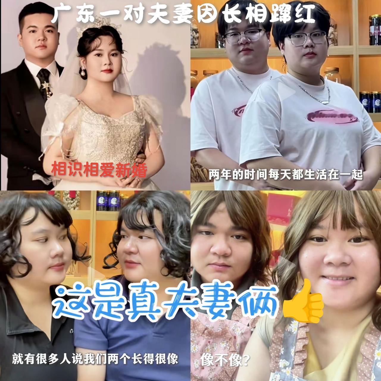 “夫妻相”原来是真的！万万没想到看一遍笑一遍搞笑娱乐