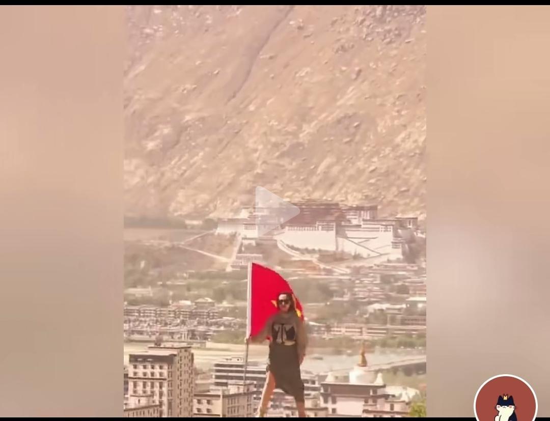 越南人跑到西藏旅游，在布达拉宫前，举他们国家的旗帜拍照炫耀！这地方和他们八竿
