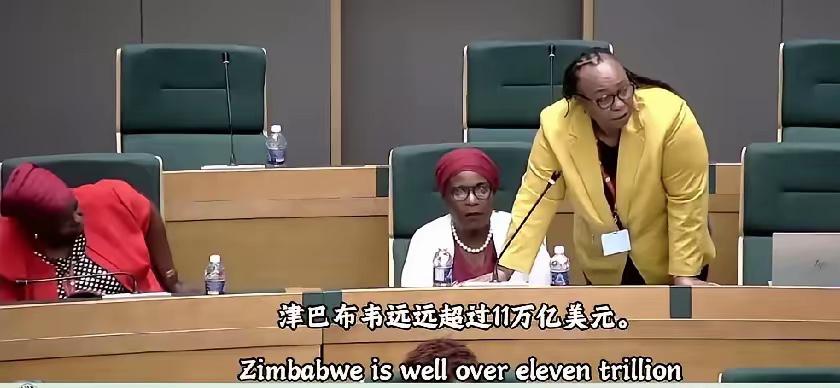 津巴布韦马克维兰佐博士，质问议员津巴布韦能从锂矿开采中获益多少？他说“津的锂矿储