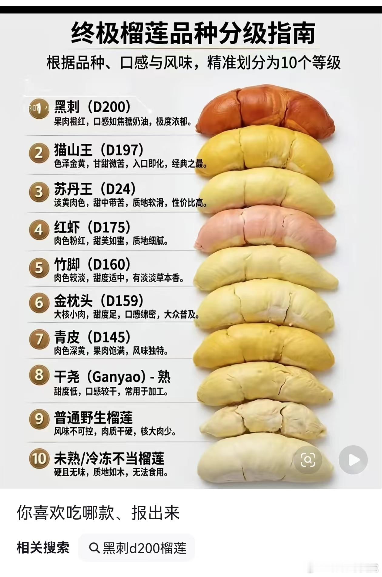 终极榴莲品种分级指南