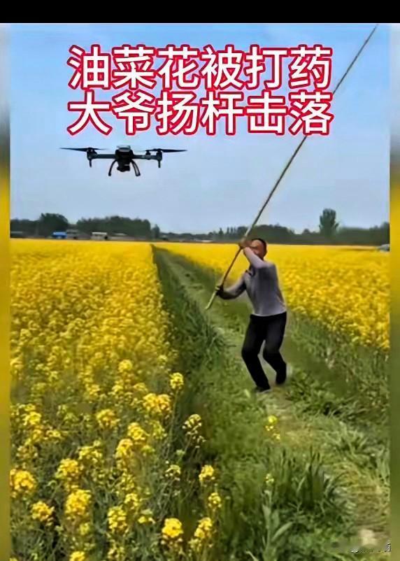 大爷才不惯着，说打就打，这不是蛮不讲理，是守住自己的地和良心。种了一辈子油