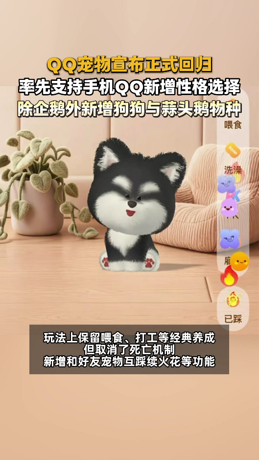 你的Q宠叫什么名字？我当年叫"小可爱"，还特意给它找了个叫"大笨蛋"的老公生蛋。