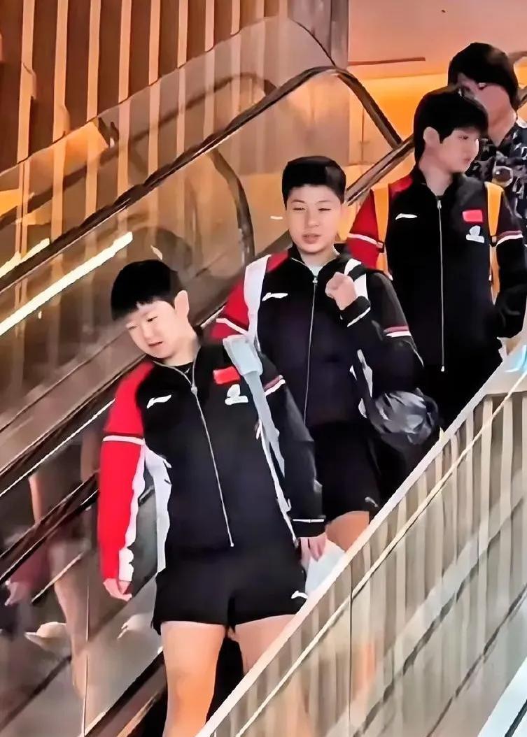 莎莎的陪练换成男选手了？横滨遇桥本的概率极大，Coco又没有同行，陪练也换