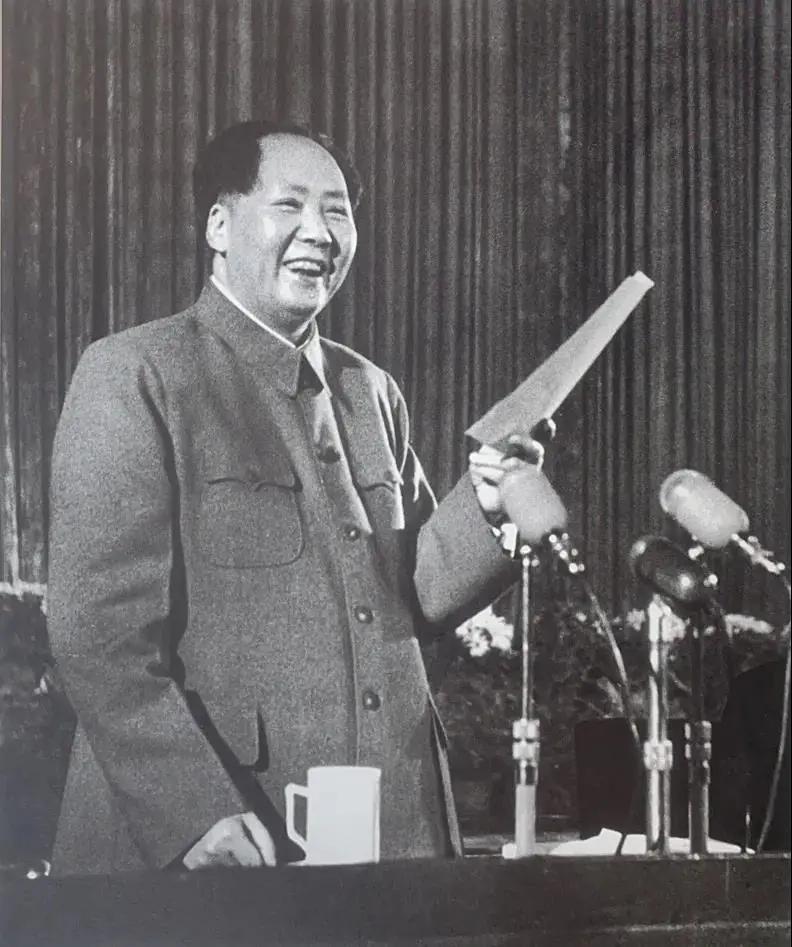 50年代初的一次聚会中，陈毅以为毛主席与陈半丁不熟悉，向毛主席介绍陈半丁，毛主席