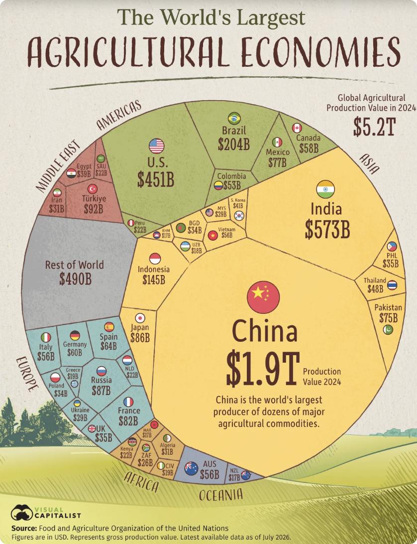 美媒：全球农业经济体排行榜，中国居首，占全球总产值逾三分之一联合国粮农组织（