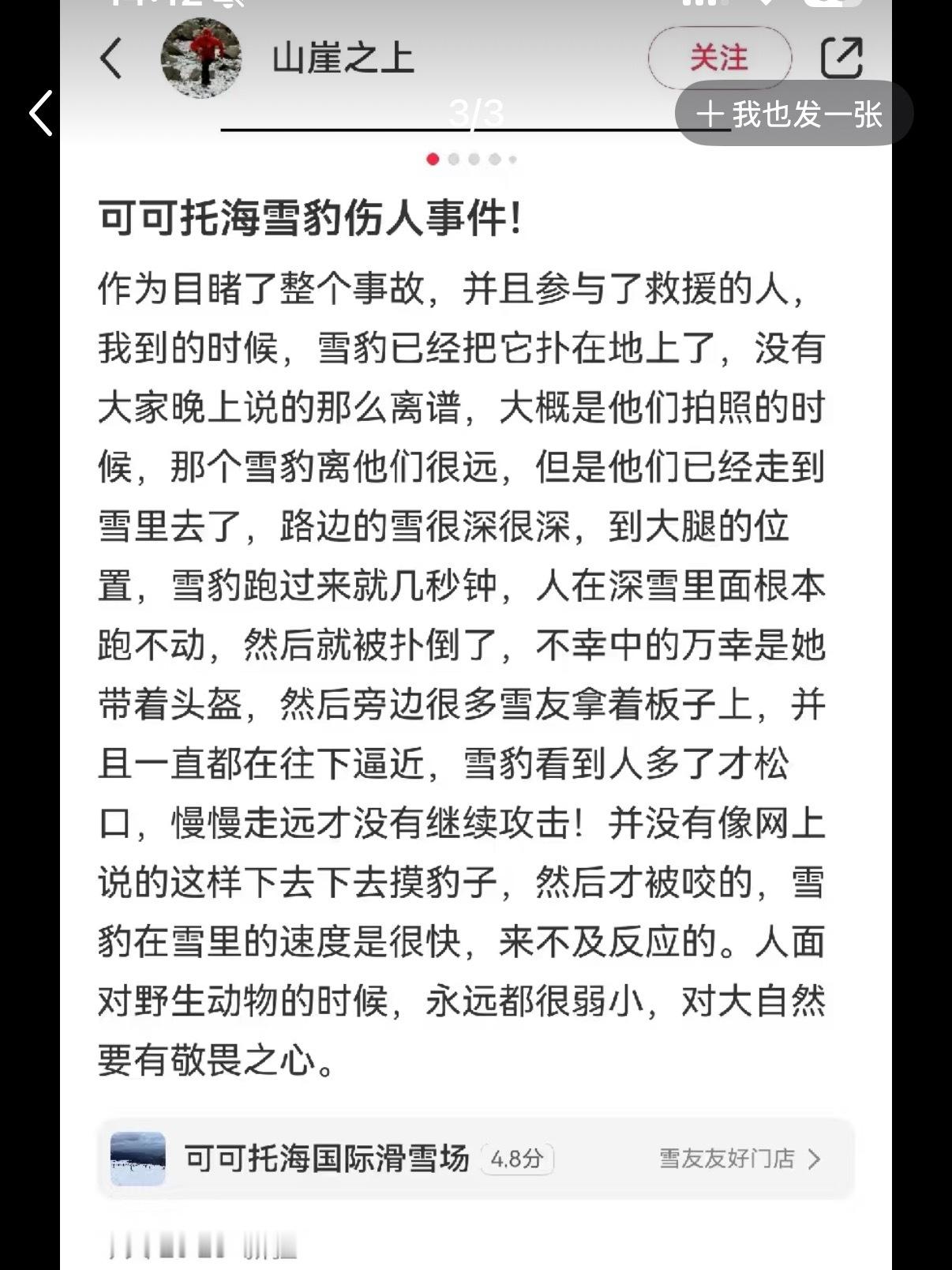 被雪豹咬伤女游客否认跟雪豹拍照现在有好多个版本，各位等等看。真的有人以为豹是猫啊