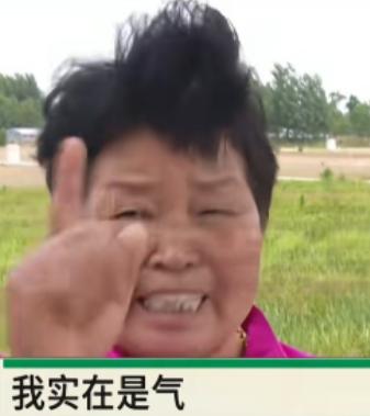新疆石河子一位靠网店卖棉被谋生的老板，一夜之间20万血汗钱打了水漂，全被1