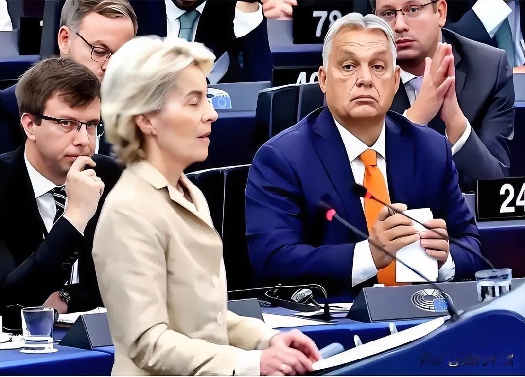 目前匈牙利政局正处于关键十字路口，民众态度有分歧，欧盟与匈牙利政府关系紧张。欧尔