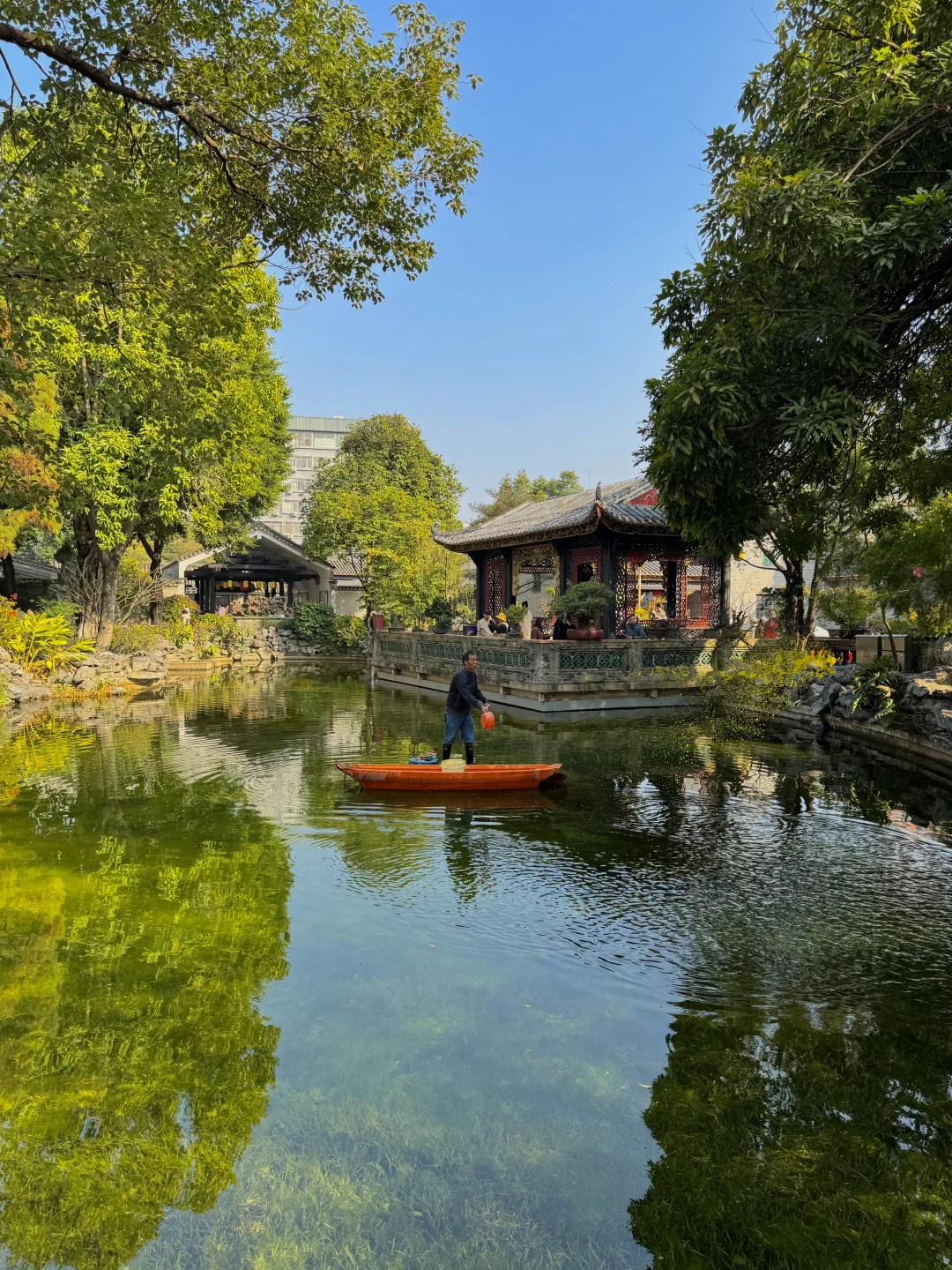 佛山这个园林❗️竟藏着比清晖园更惊艳的诗意