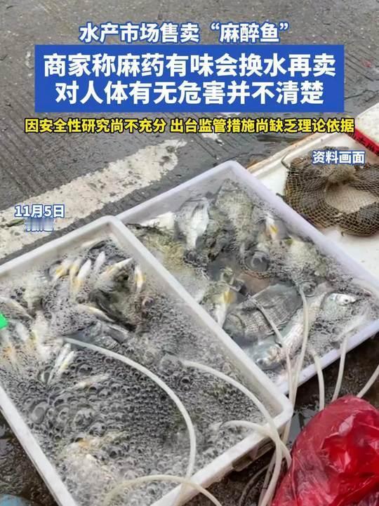 最近看到有些水产商用麻醉剂运活鱼，第一时间亚麻呆住了，没想到还用上了这玩意，这东