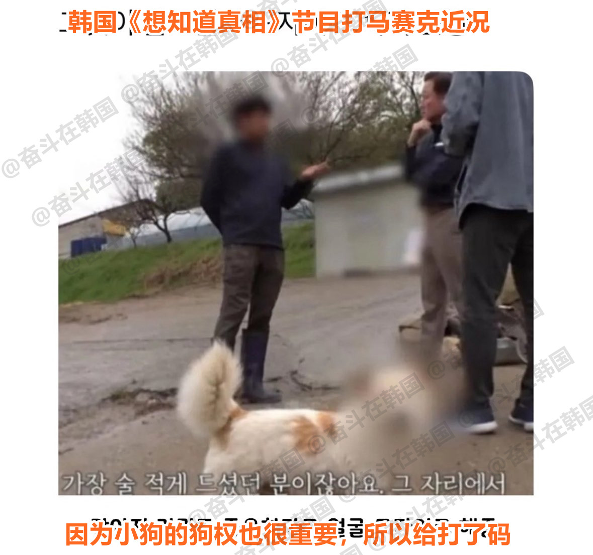 韩国《想知道真相》节目打马赛克近况海外新鲜事热点现场​​​