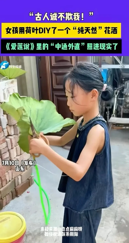 “真的不建议小孩子这么有创意，太伤大人自尊”7月10日，山东一位小女孩用荷叶当