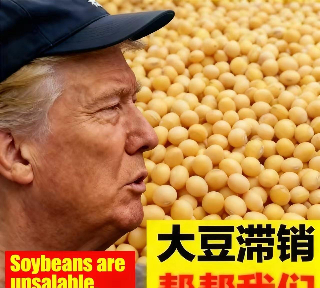 去年特朗普对美国肯塔基州农民说，想把大豆变成钱，选我！结果今天一觉醒来，满屏都